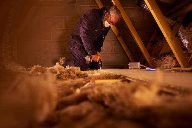 Best Insulation for Specific Applications in Olyphant, PA